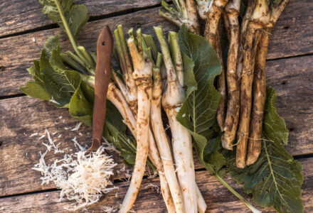 Fresh horseradish in Glendale, CA and Chula Vista, CA